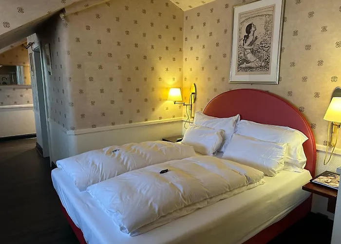 호텔 Boutique Belle Epoque 베른